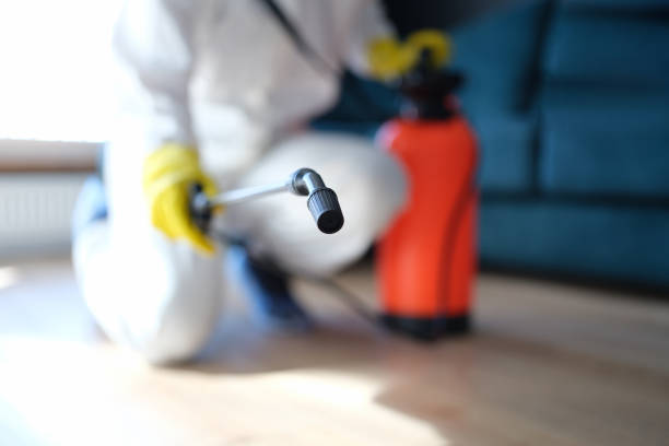 Best Crawl Space Mold Remediation  in Spring Lake, MI